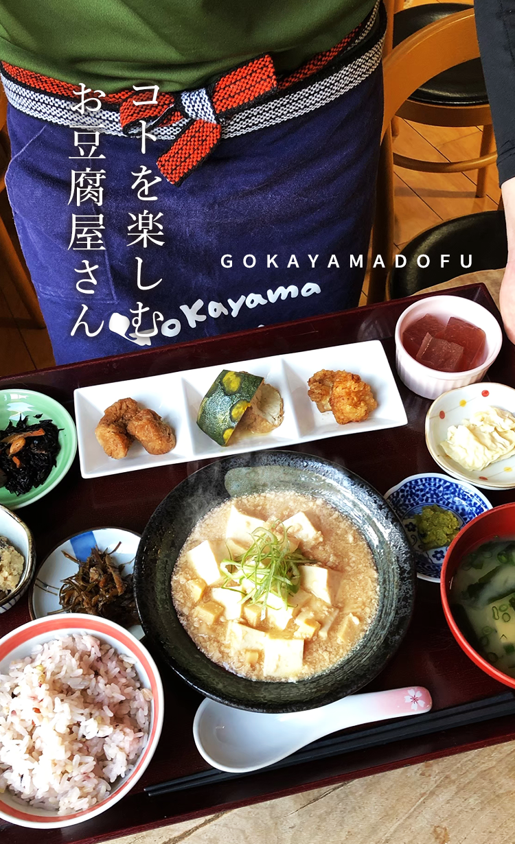 五 ヶ 山 豆腐