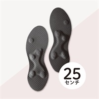 体幹先生(ブラック)(25㎝)