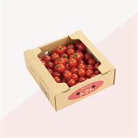 ※訳ありNo,1ミニトマト