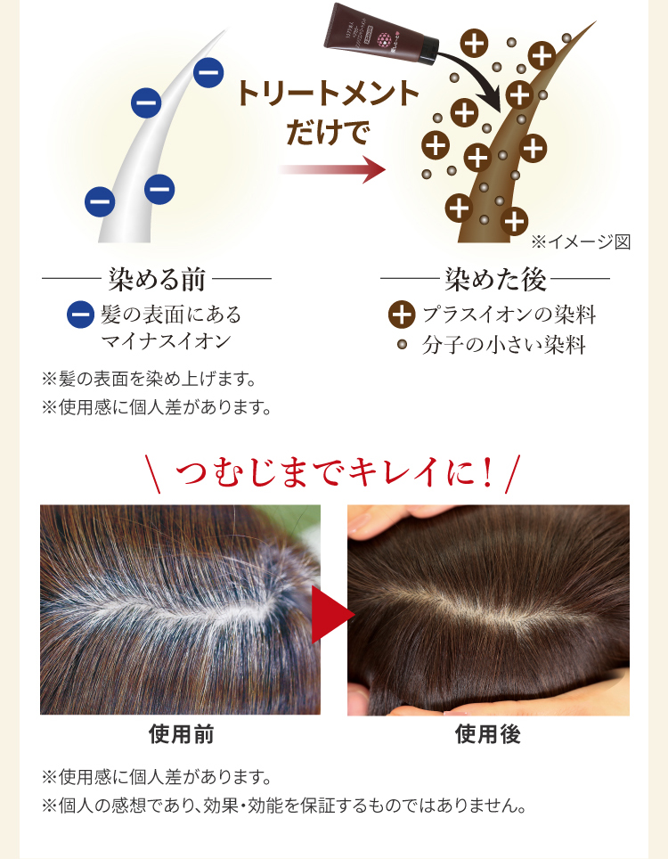 ヘアカラートリートメント｜【公式】愛しとーとオンラインショップ