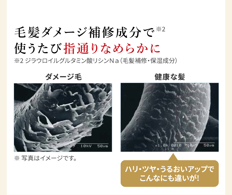 ヘアカラートリートメント｜【公式】愛しとーとオンラインショップ