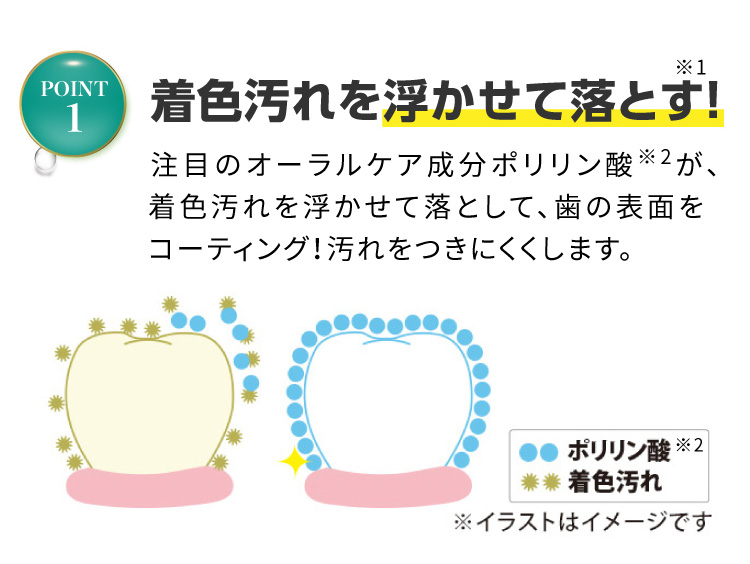 ホワイトトゥースジェル｜【公式】愛しとーとオンラインショップ