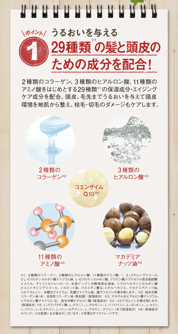 薬用リプレアEX シャンプー｜【公式】愛しとーとオンラインショップ