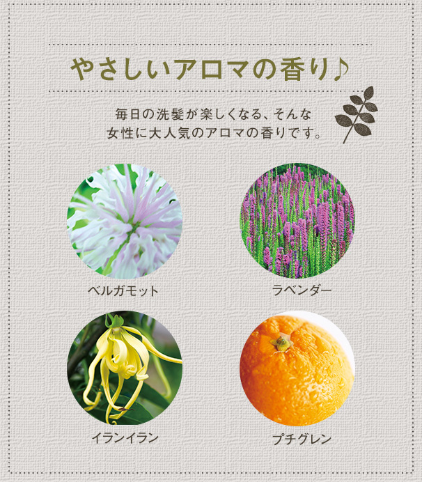 薬用リプレアEX シャンプー｜【公式】愛しとーとオンラインショップ