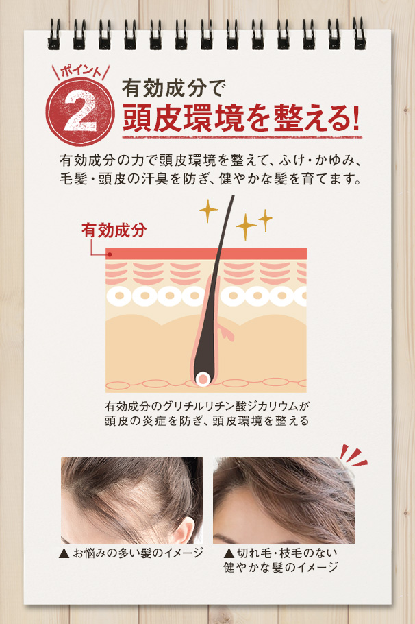 薬用リプレアEX トリートメント｜【公式】愛しとーとオンライン