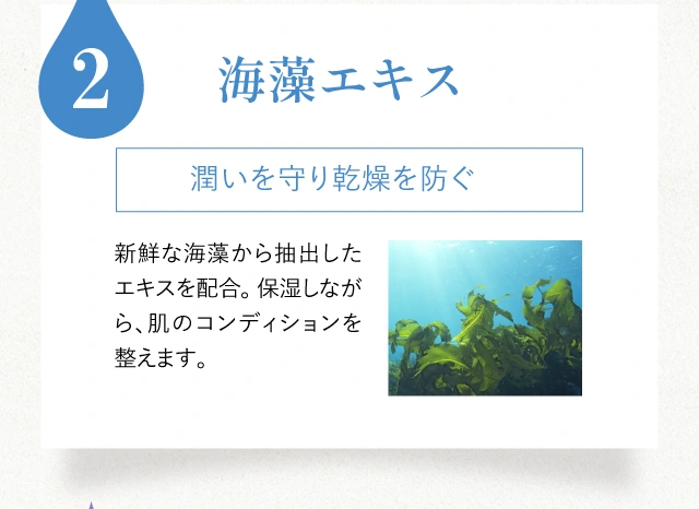 2 海藻エキス 潤いを守り乾燥を防ぐ