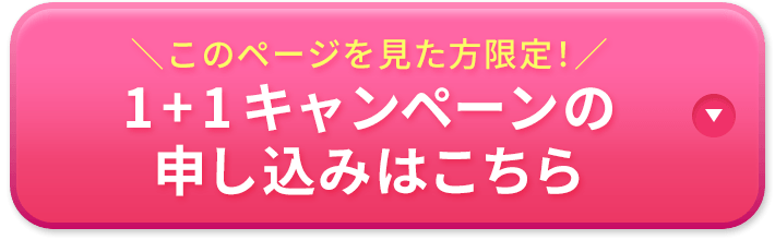 1+1キャンペーンの申し込みはこちら