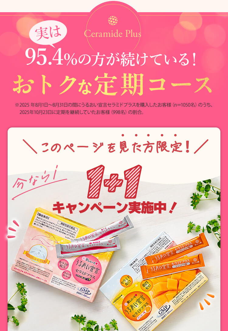 アサイー味 マンゴー味