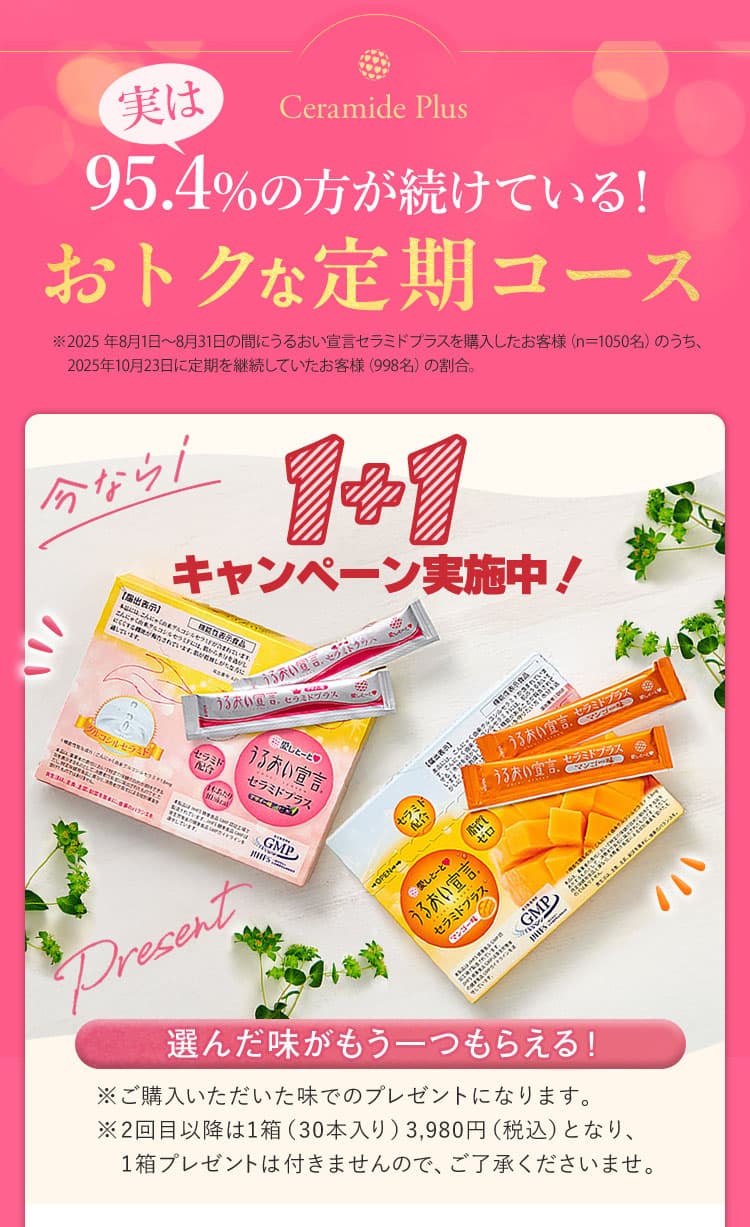 アサイー味 マンゴー味