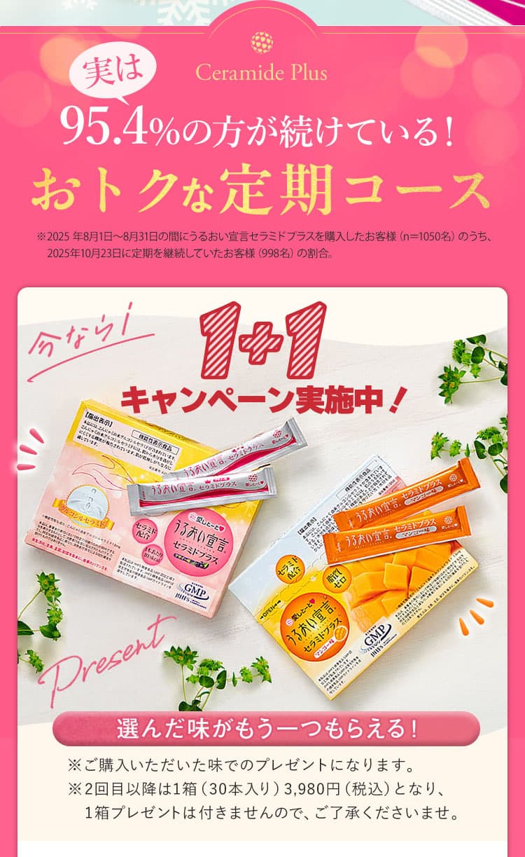 アサイー味 マンゴー味