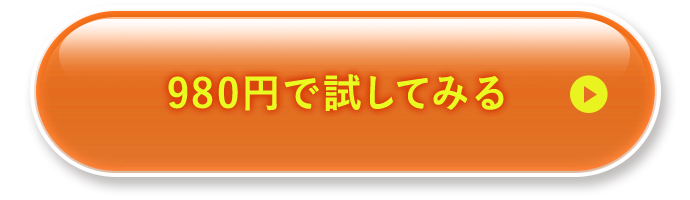 980円で試してみる
