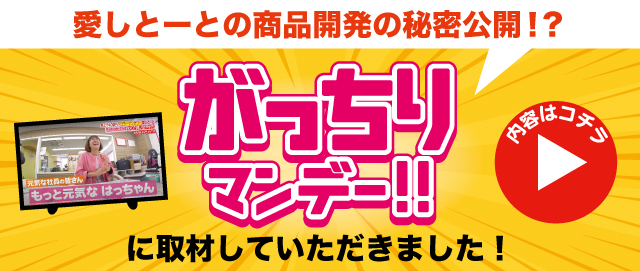 がっちりマンデー！！に取材していただきました！
